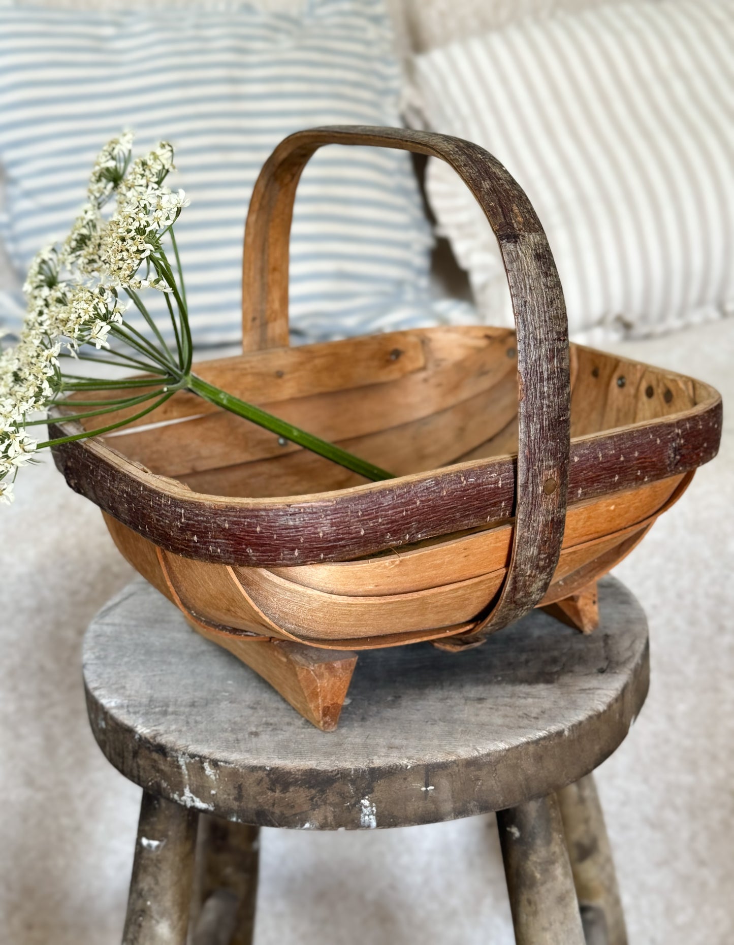 Antique Handmade Sussex Garden Trug