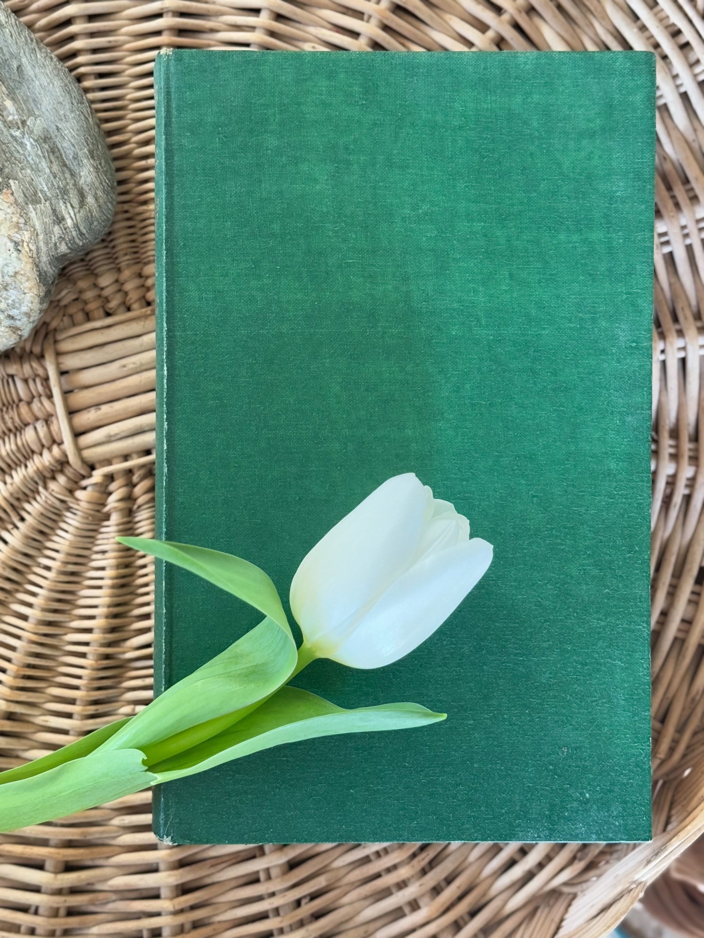 Plants And Beekeeping, F.N.Howes, Faber & Faber Ltd, 1945