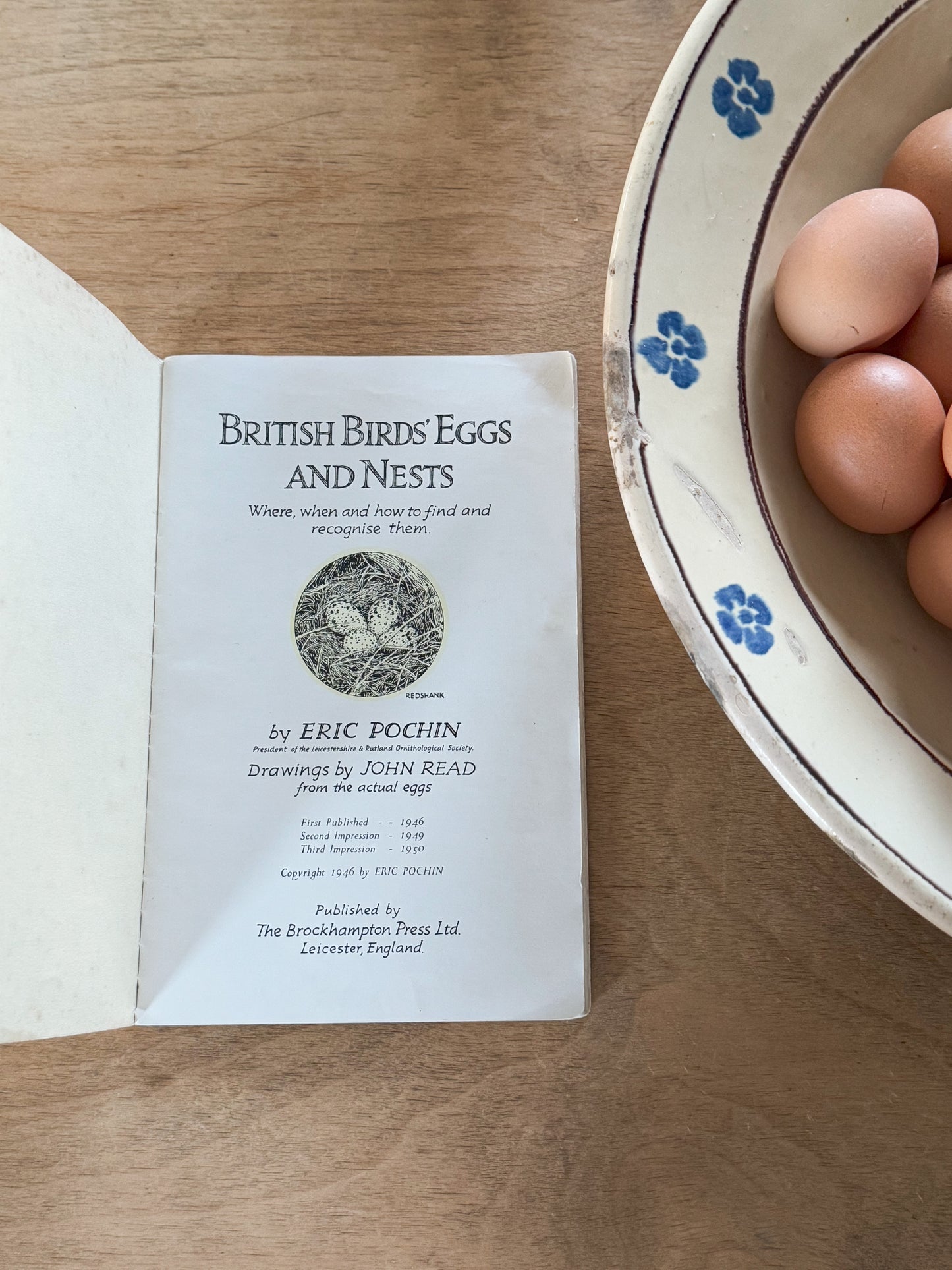 British Birds’ Eggs And Nests by Eric Pochin, 1950