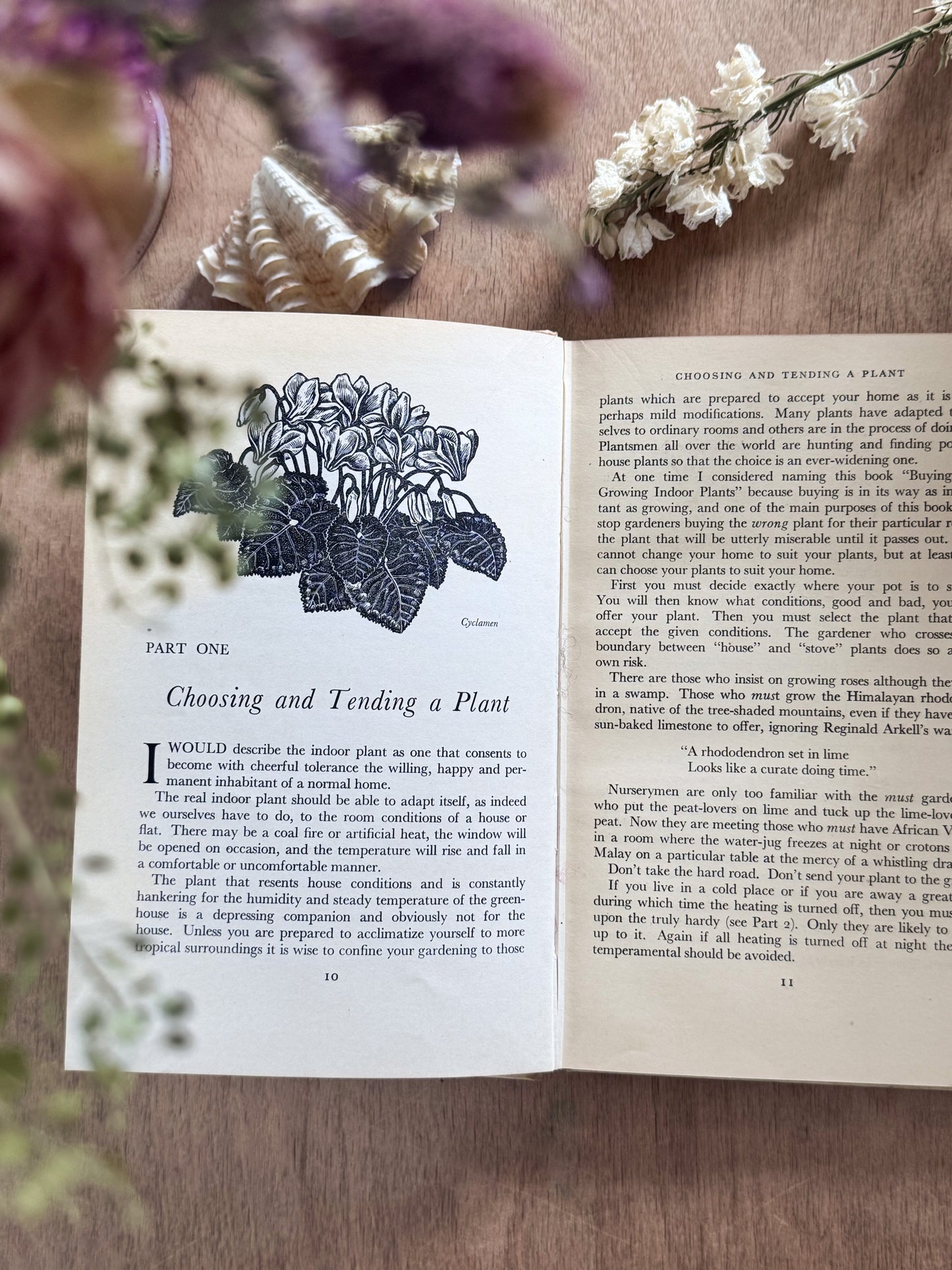 The Housewife Book of House Plants (1956)