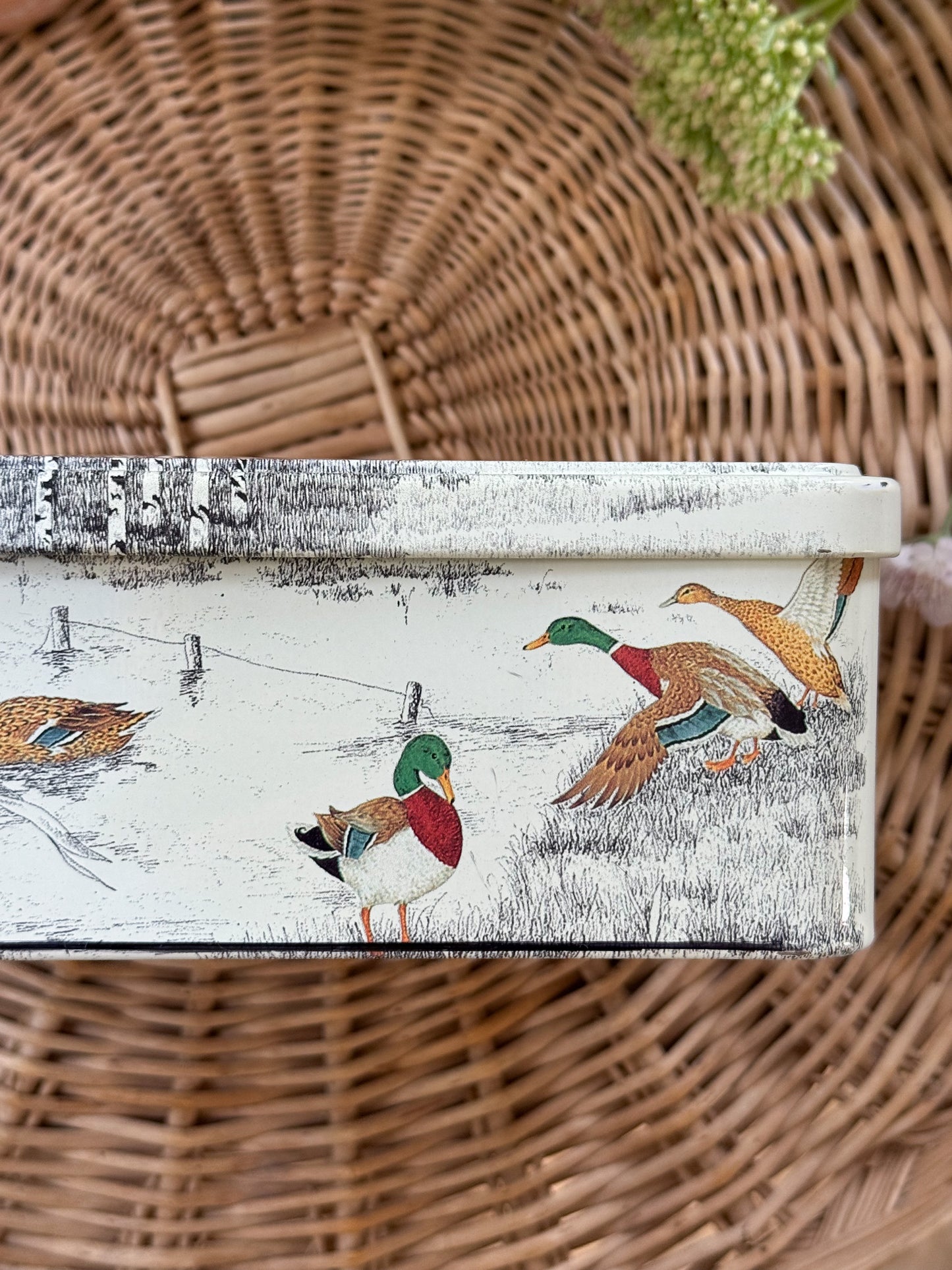 Vintage French Enamel Tin - Mallard Ducks Scene (Massilly, France)