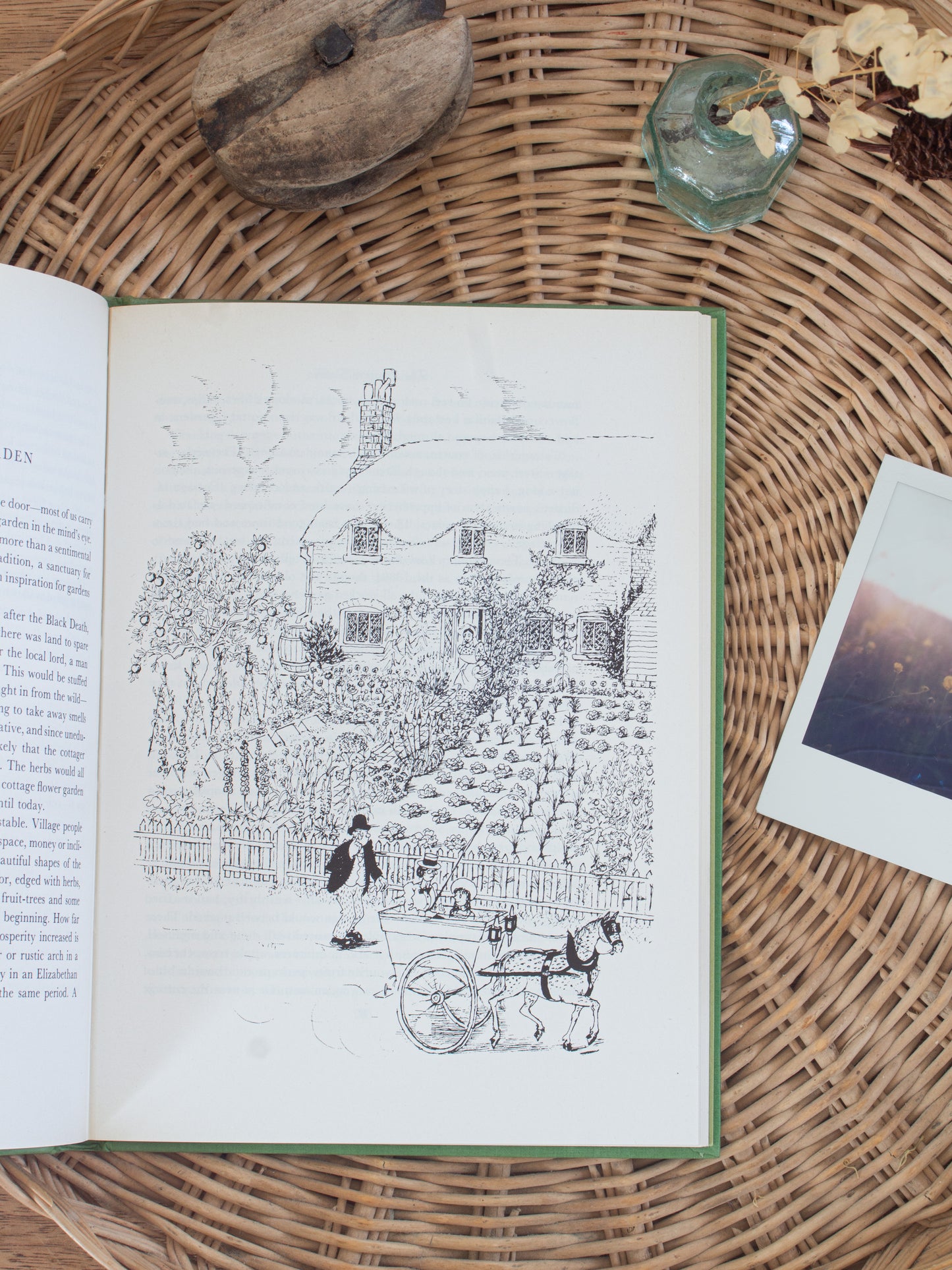 Vintage 1977 ‘The Pleasure Garden’ by Anne Scott-James & Osbert Lancaster