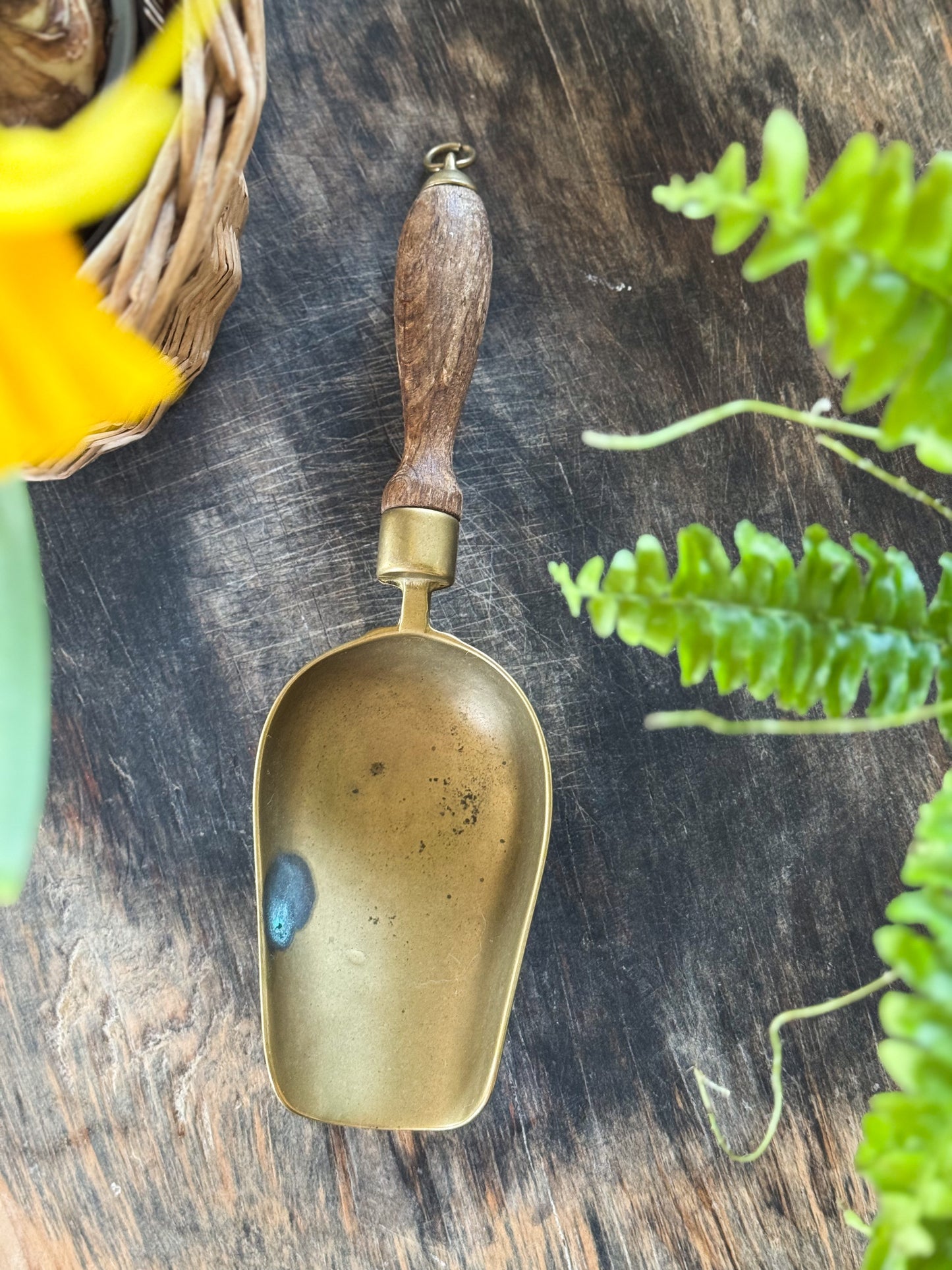 Antique Brass Grain Scoop | Sweet Shop Scoop
