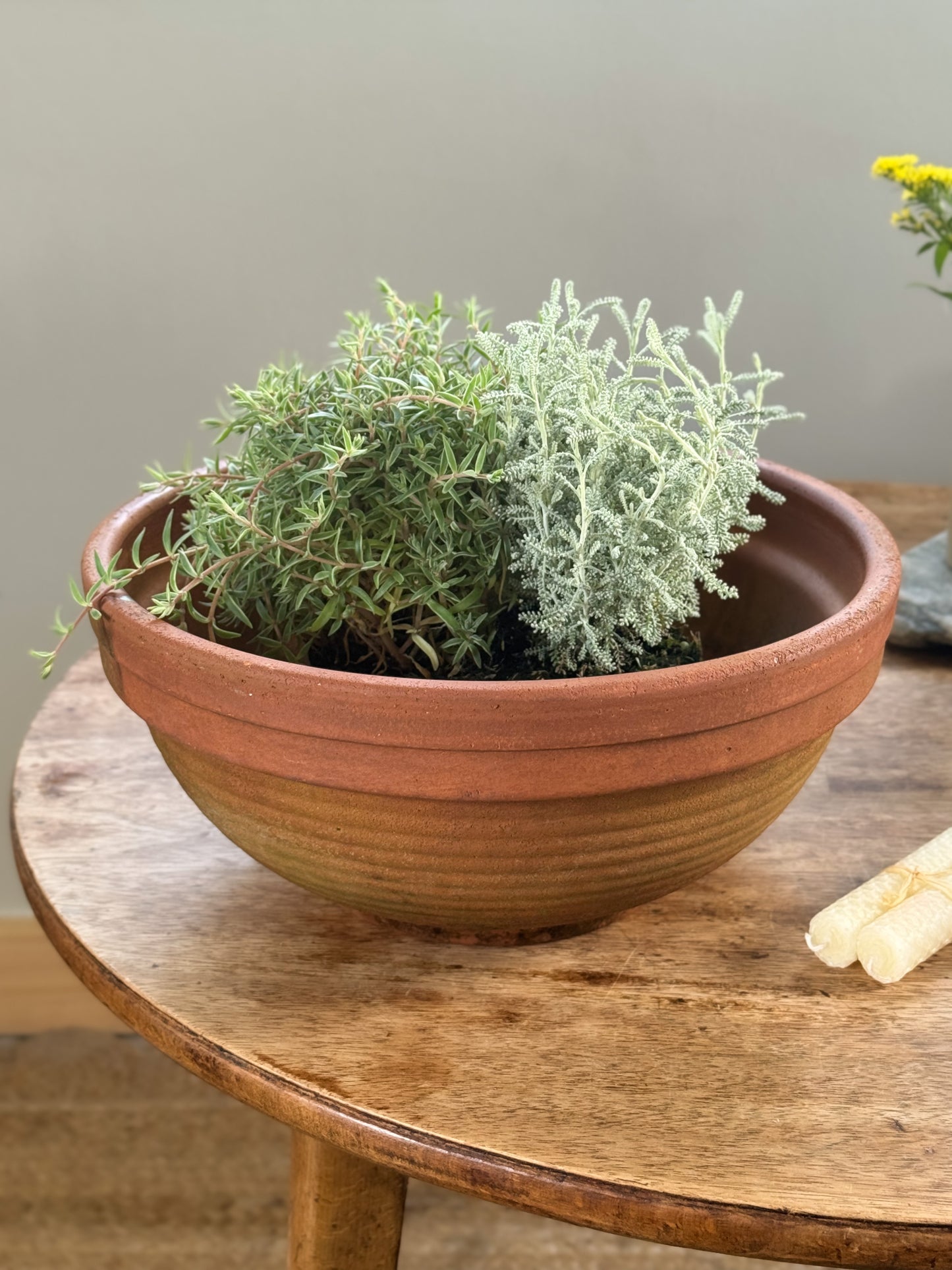 Vintage Large Italian Ribbed Terracotta Planter (Bulb Bowl)