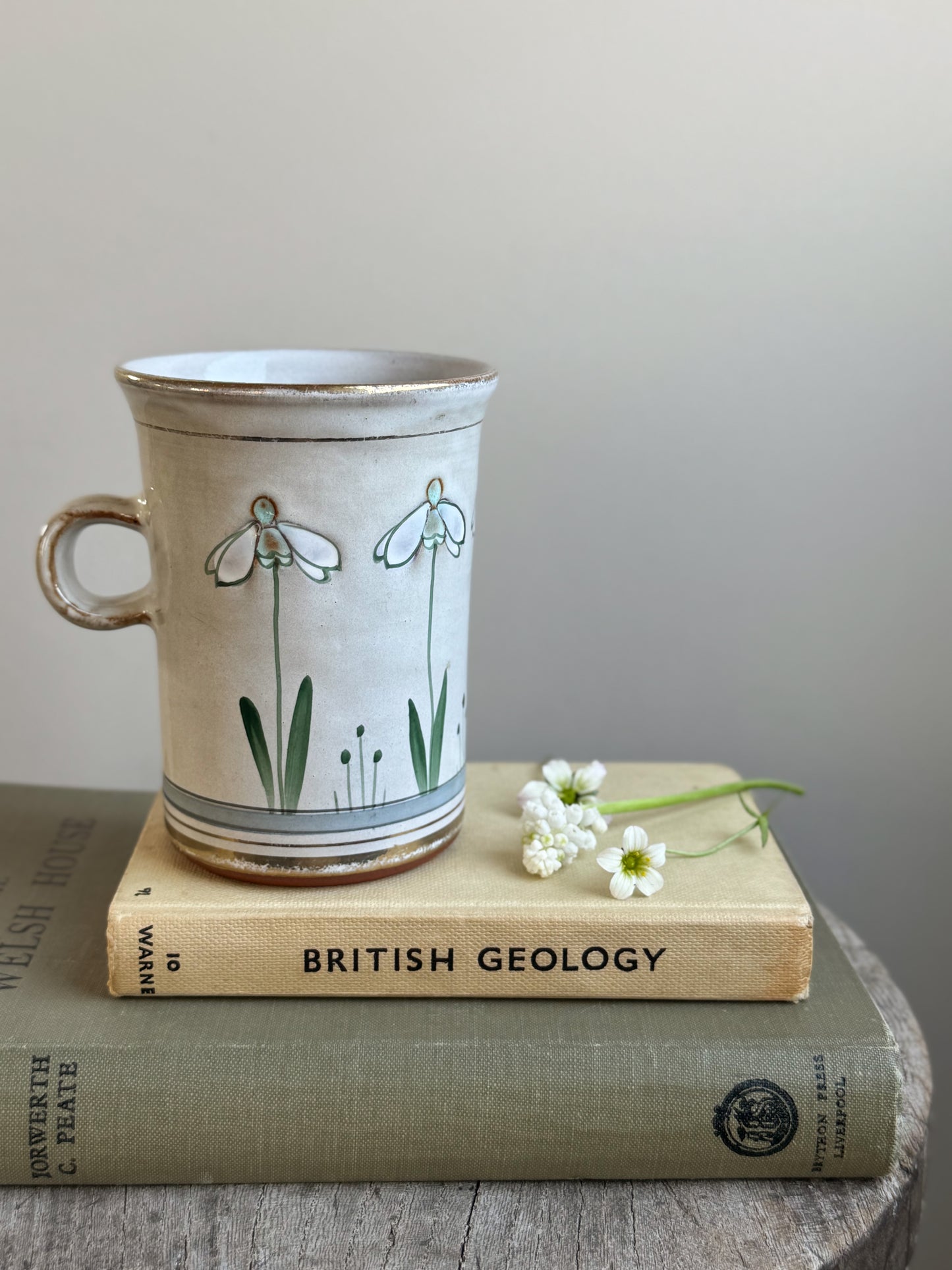 Handmade Studio Pottery Mug – Snowdrop Motif, Kentmere, Lake District