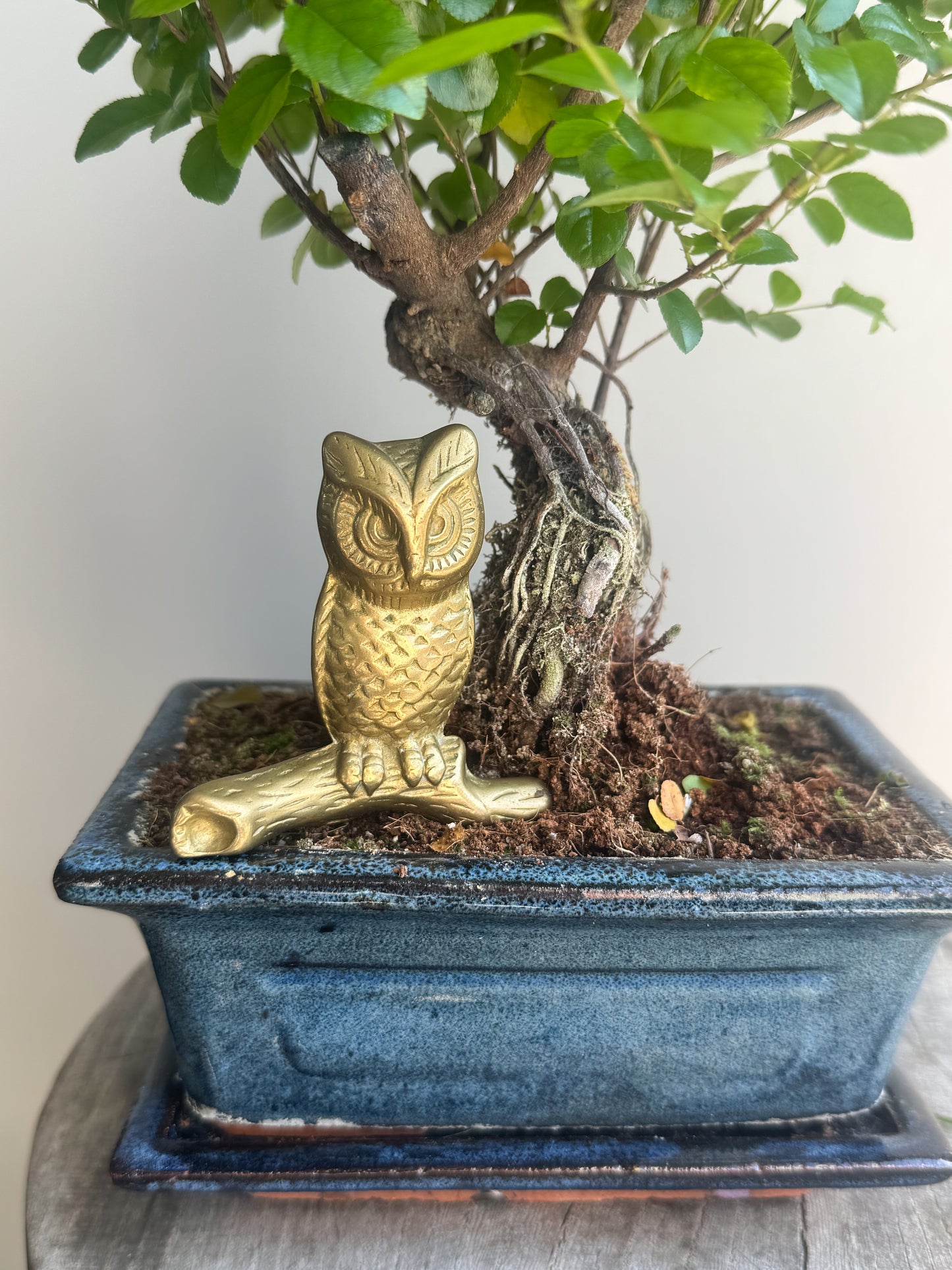 Vintage Solid Brass Owl Paperweight