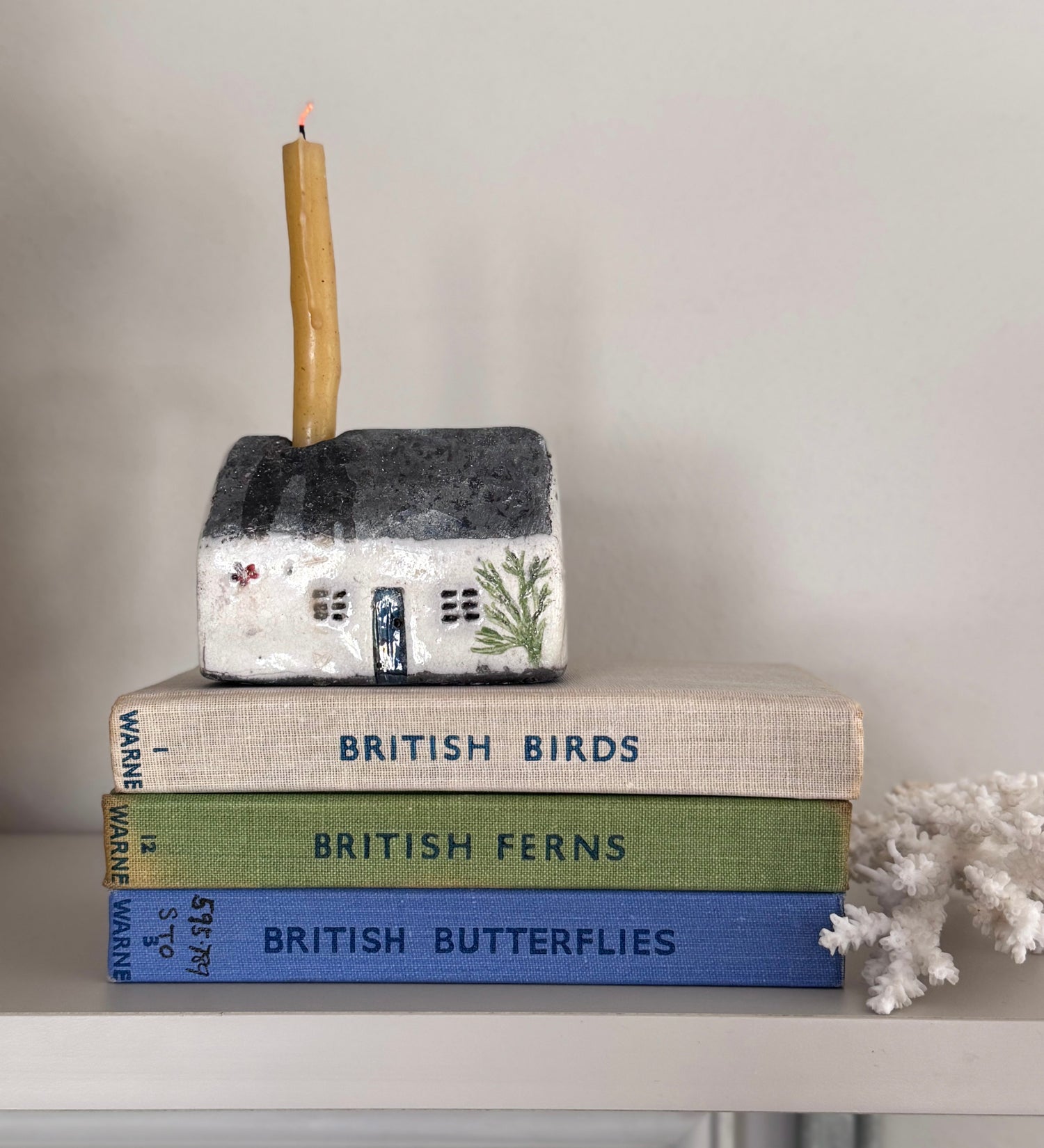 Vintage Observer Books