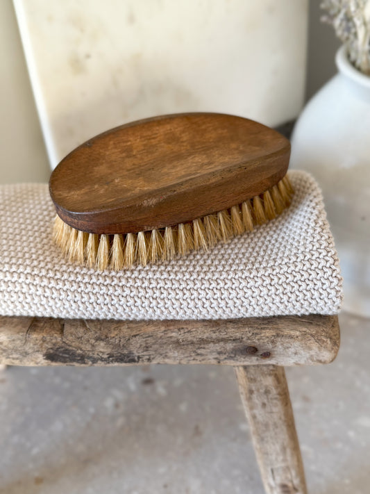 Antique Wooden Natural Bristle Household Brush | Utility Brush