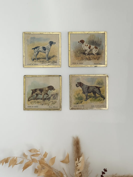 Antique French Chiens de Chasse, Hunting Dog Prints in Glass Frames • Set of 4
