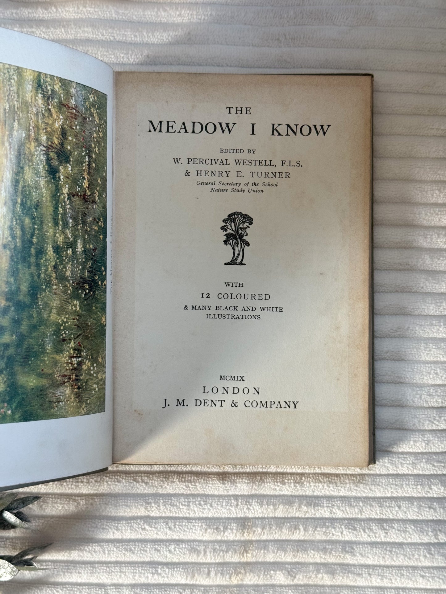 Antique The Meadow I Know (1909) - Edwardian Nature Study Book with Coloured Plates