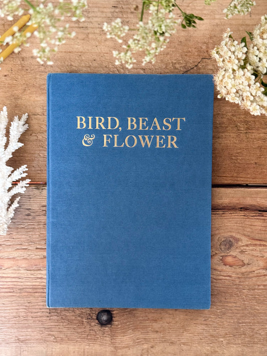 Bird, Beast & Flower by Marie Angel & Ian Parsons | Vintage Illustrated Poetry Book, 1982