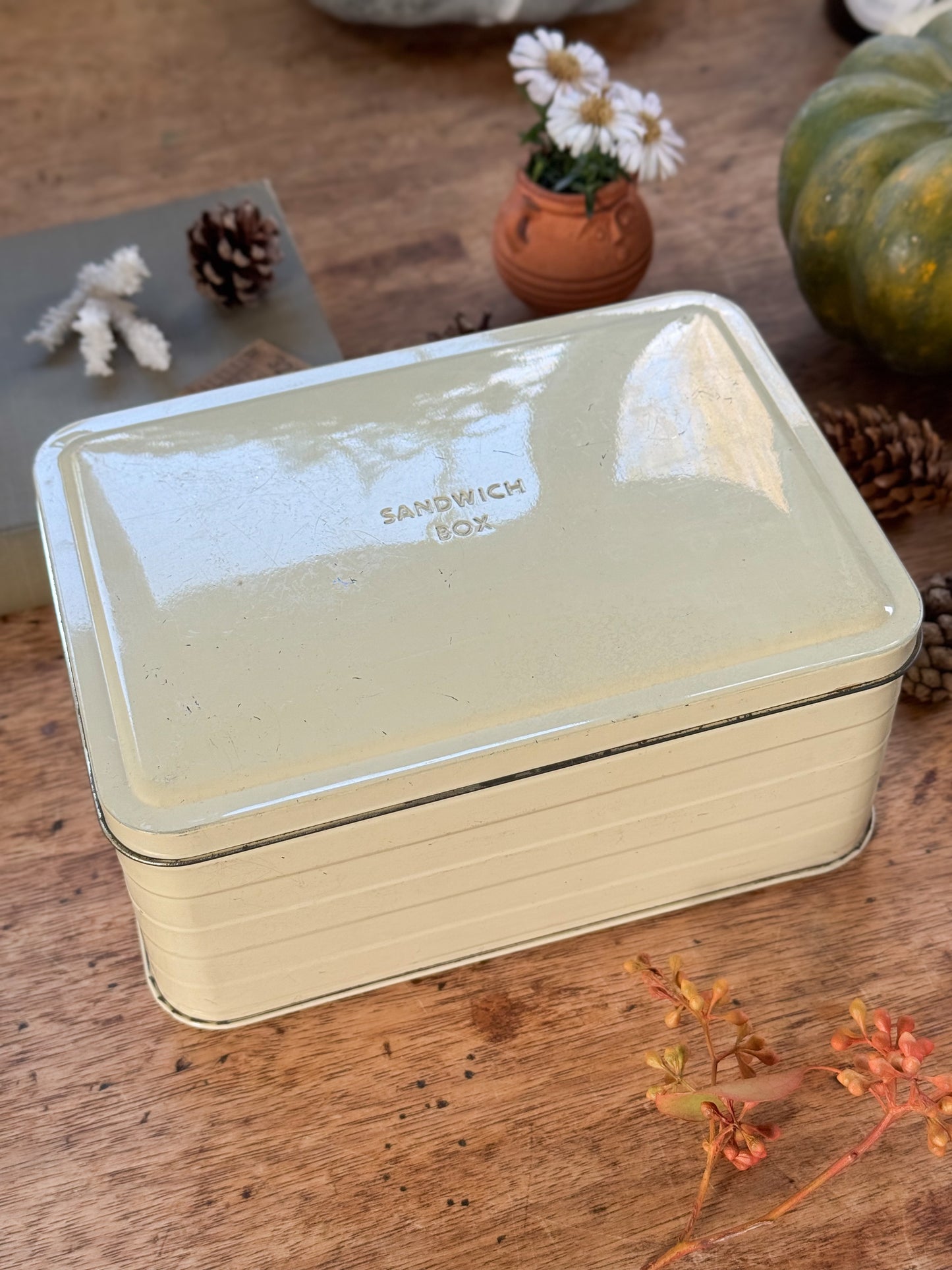 Vintage 1950s Tin Sandwich Box (Option 1)