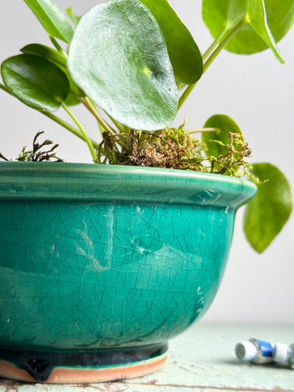 Antique Green Glazed Ceramic Bowl