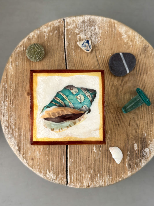 Vintage Capiz Shell Box with Painted Sea Shell Lid