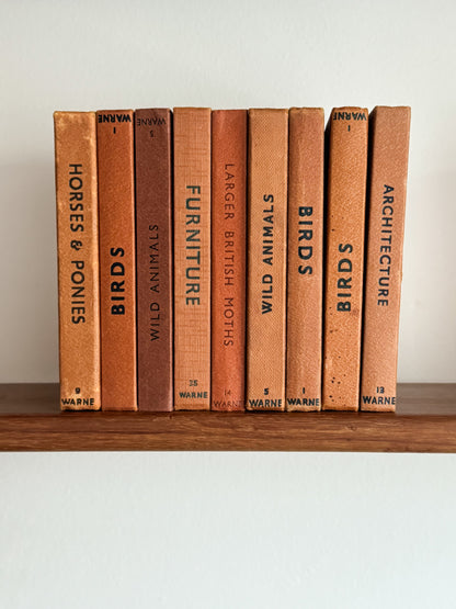 ‘Build Your Own’ Vintage Observer Pocket Book Bundle