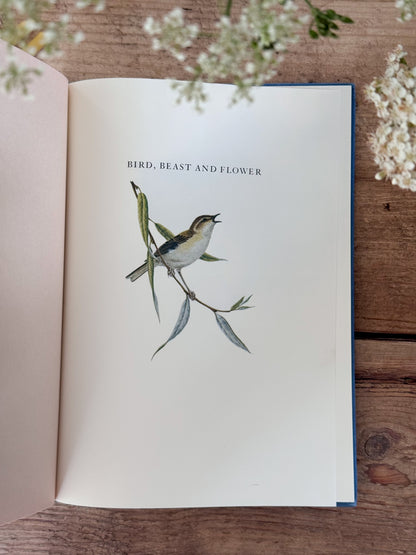 Bird, Beast & Flower by Marie Angel & Ian Parsons | Vintage Illustrated Poetry Book, 1982