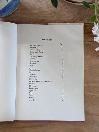 Nicolas Bentley’s Book of Birds, An Avian Alphabet, 1965 (First Edition)