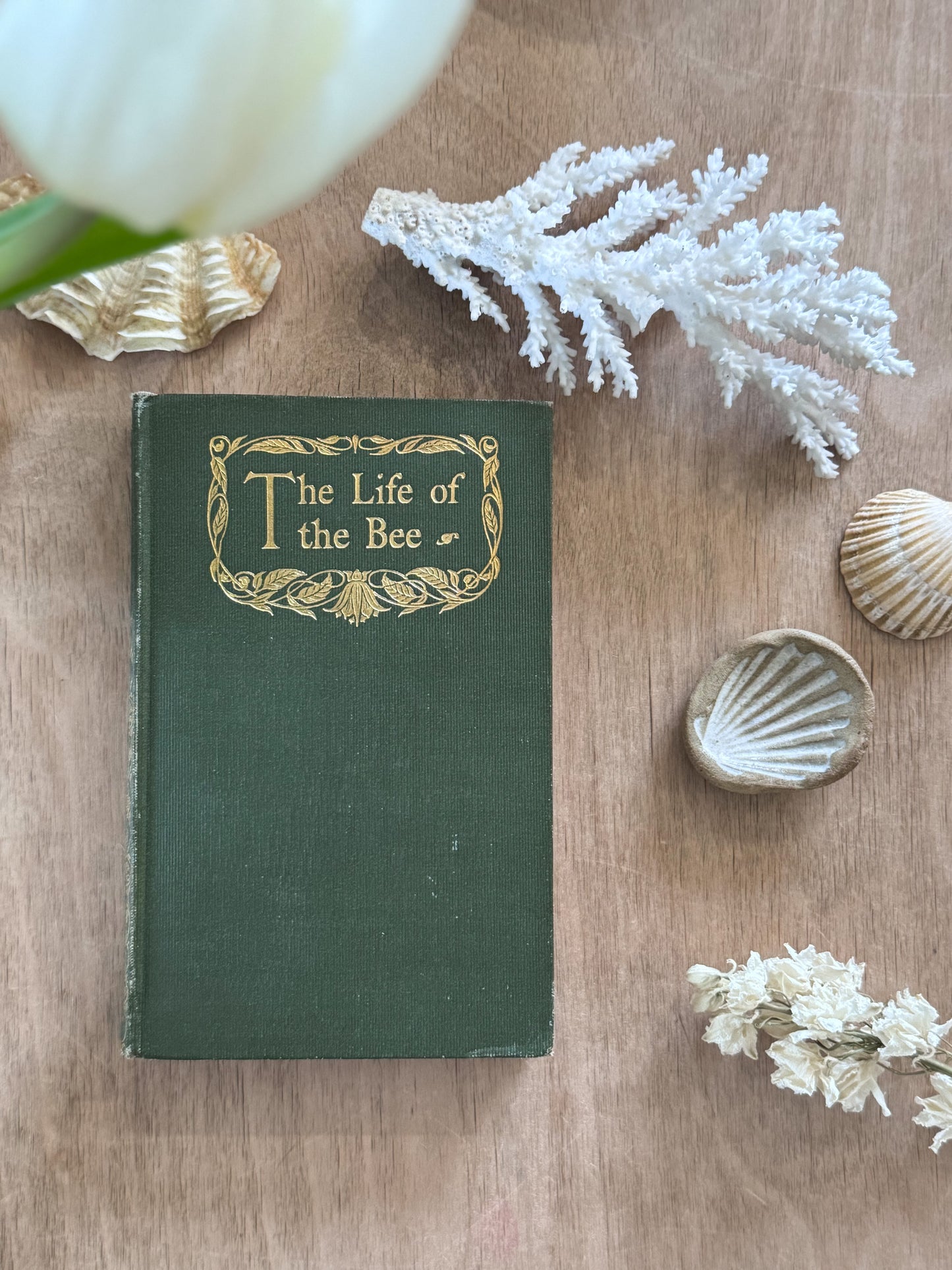Antique Maurice Maeterlinck Green & Gilt Pocket Book Editions (Multiple Options)