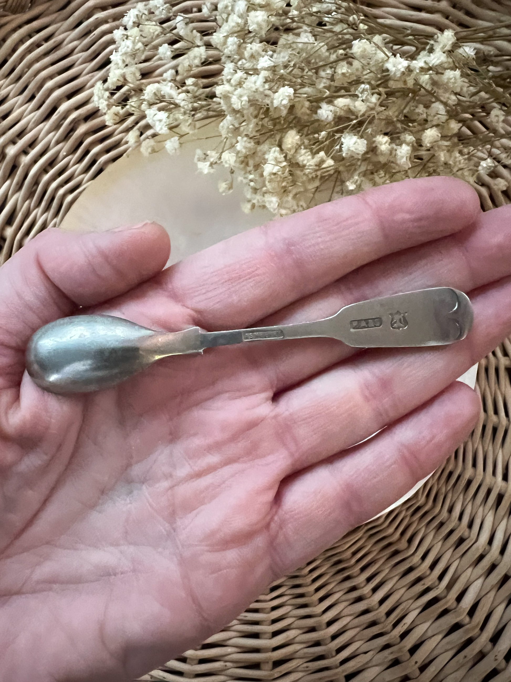 Antique Victorian Ashberry Sons S Silver Plated Salt Spoon