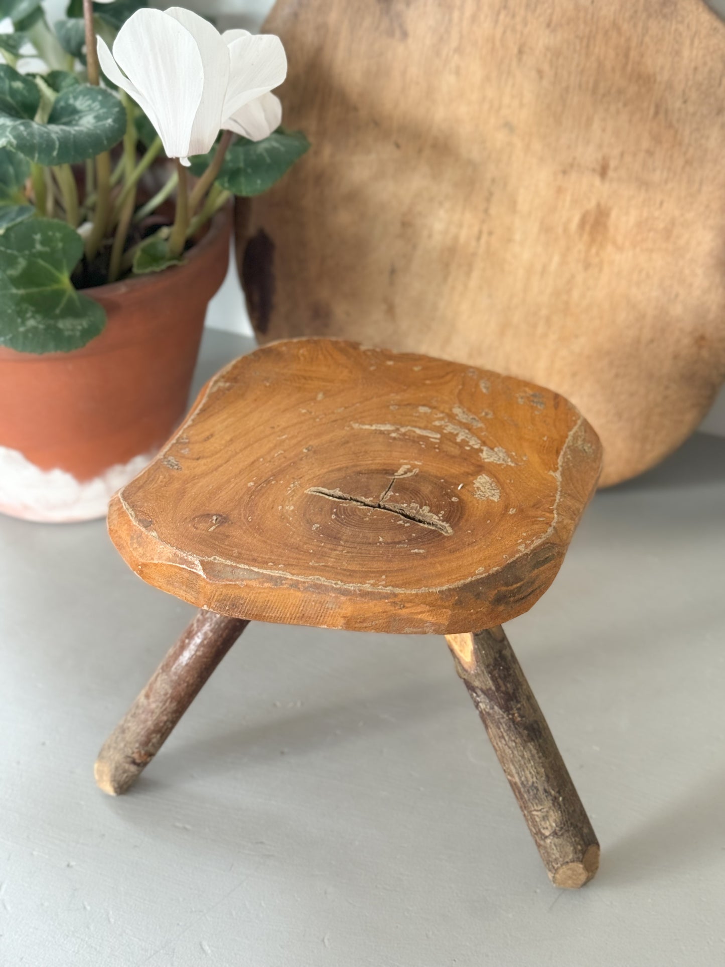 Small Handmade Treen Raw Wood Plant Stand • Stool