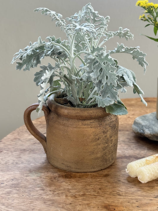 Antique French Confit Pot - Small Size