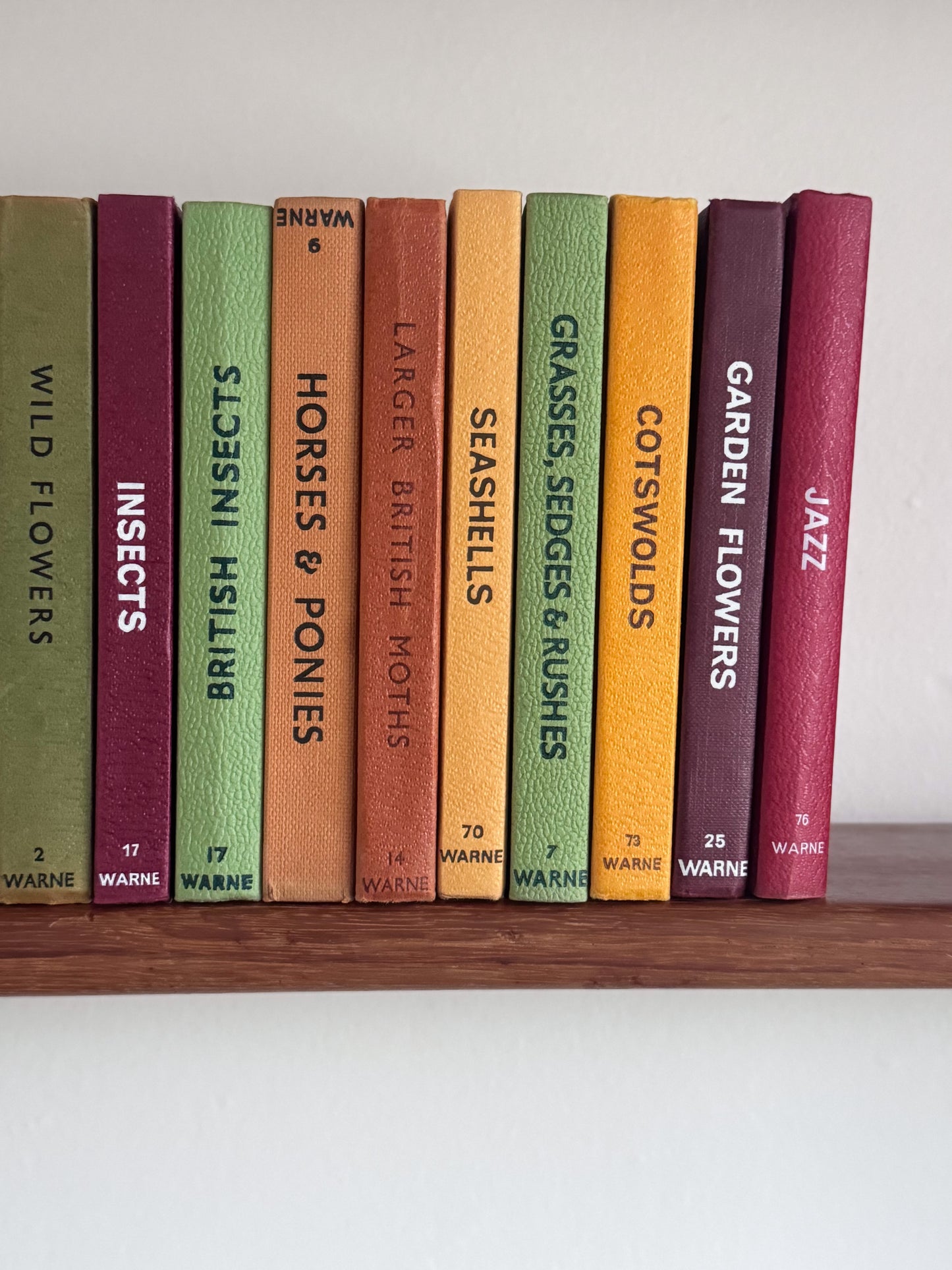 ‘Build Your Own’ Vintage Observer Pocket Book Bundle