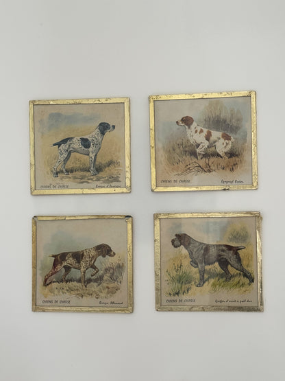 Antique French Chiens de Chasse, Hunting Dog Prints in Glass Frames • Set of 4