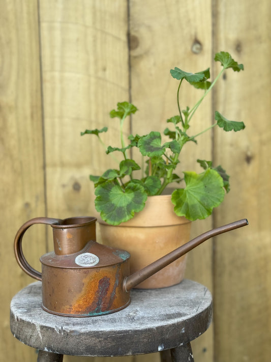 Vintage HAWS Copper Watering Can