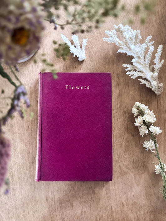 Flowers by Janet Harvey Kelman, The Shown Series (c. 1910s–1920s)