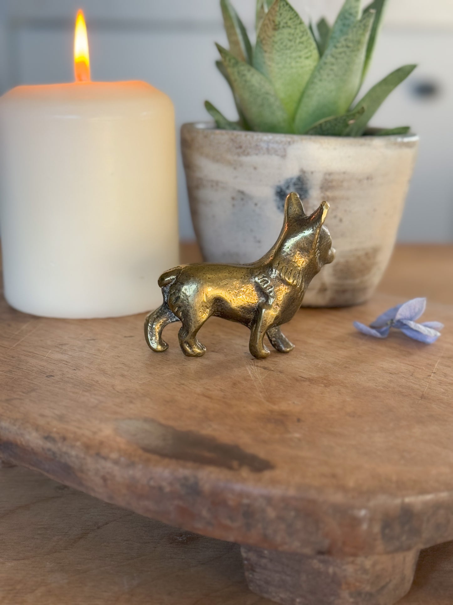 Small Solid Brass Dog | Corgi