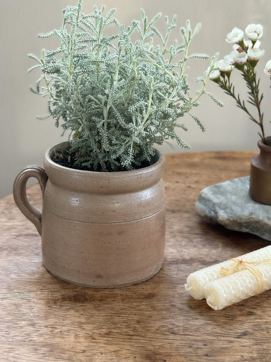 Antique French Confit Pot - Small Size