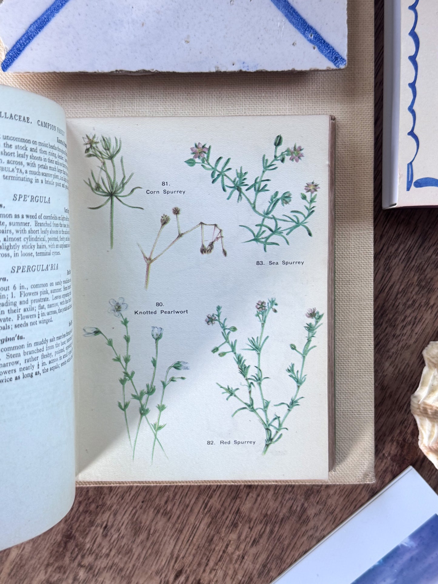 A Flower Book for the Pocket by Macgregor Skene, 1944