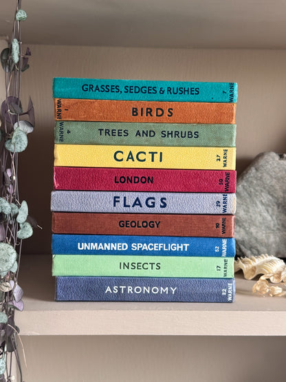 ‘Build Your Own’ Vintage Observer Pocket Book Bundle