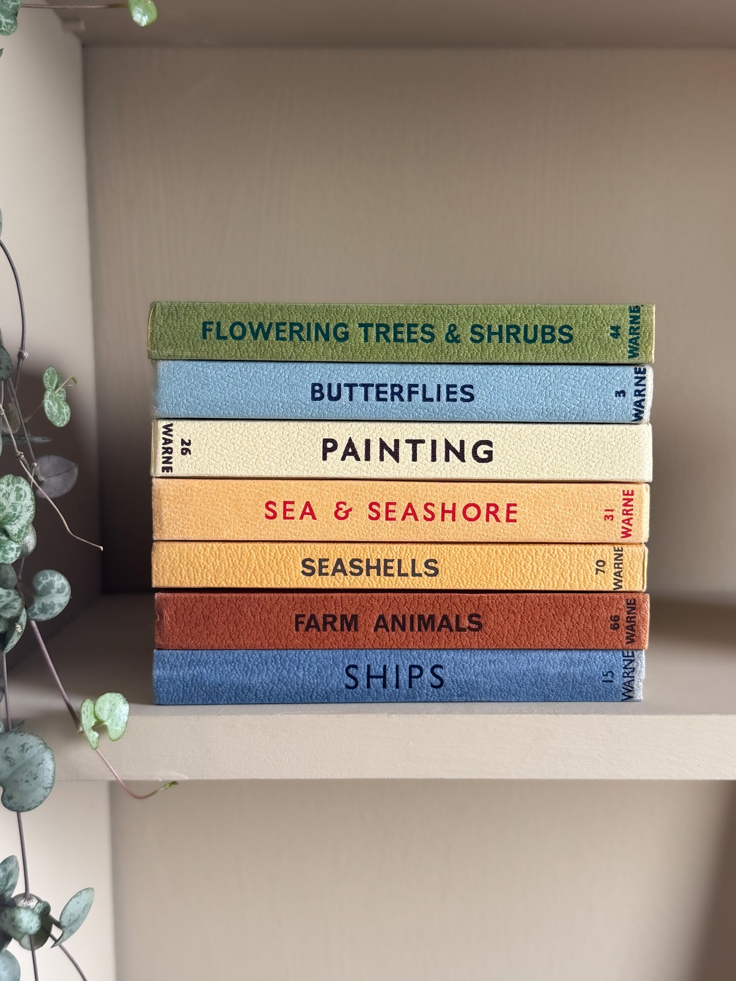‘Build Your Own’ Vintage Observer Pocket Book Bundle