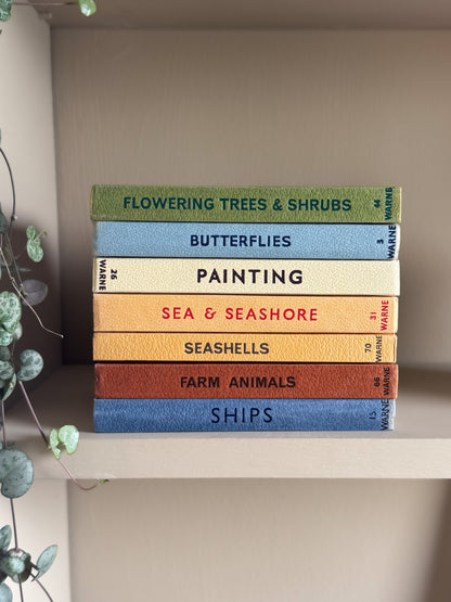 ‘Build Your Own’ Vintage Observer Pocket Book Bundle