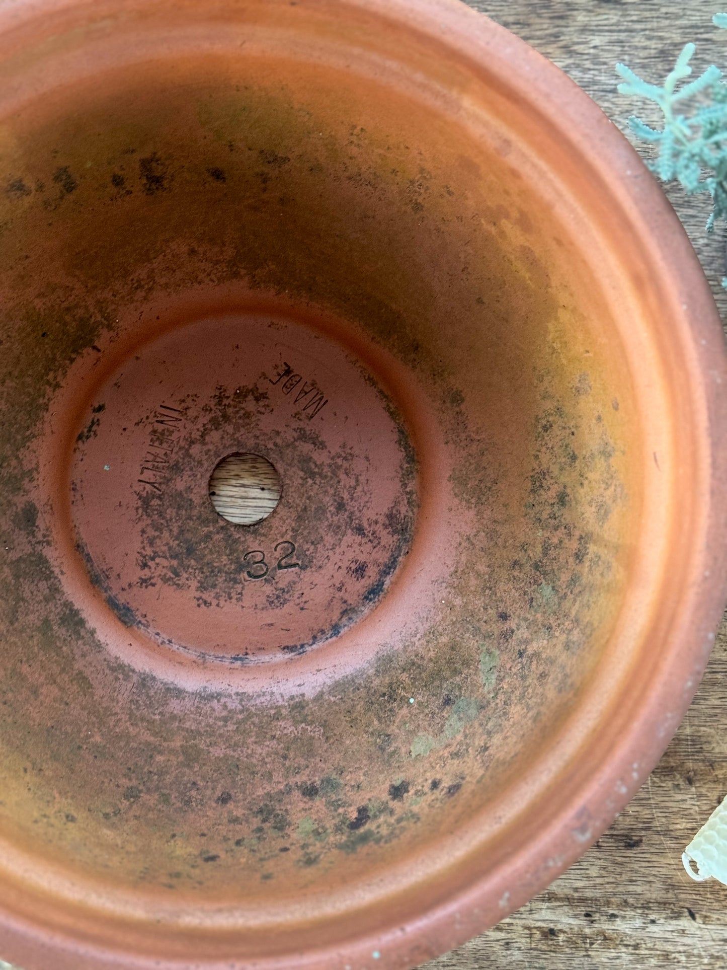 Vintage Large Italian Ribbed Terracotta Planter (Bulb Bowl)