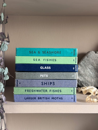 ‘Build Your Own’ Vintage Observer Pocket Book Bundle