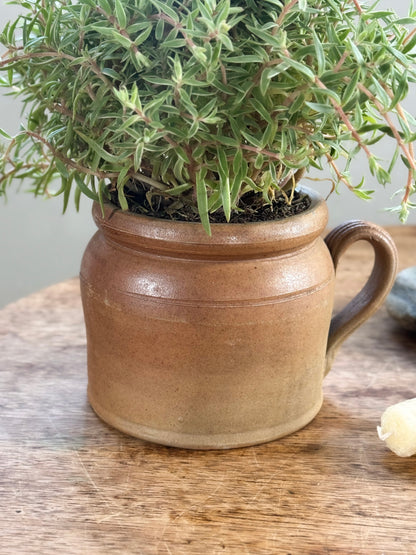 Antique French Confit Pot - Small Size