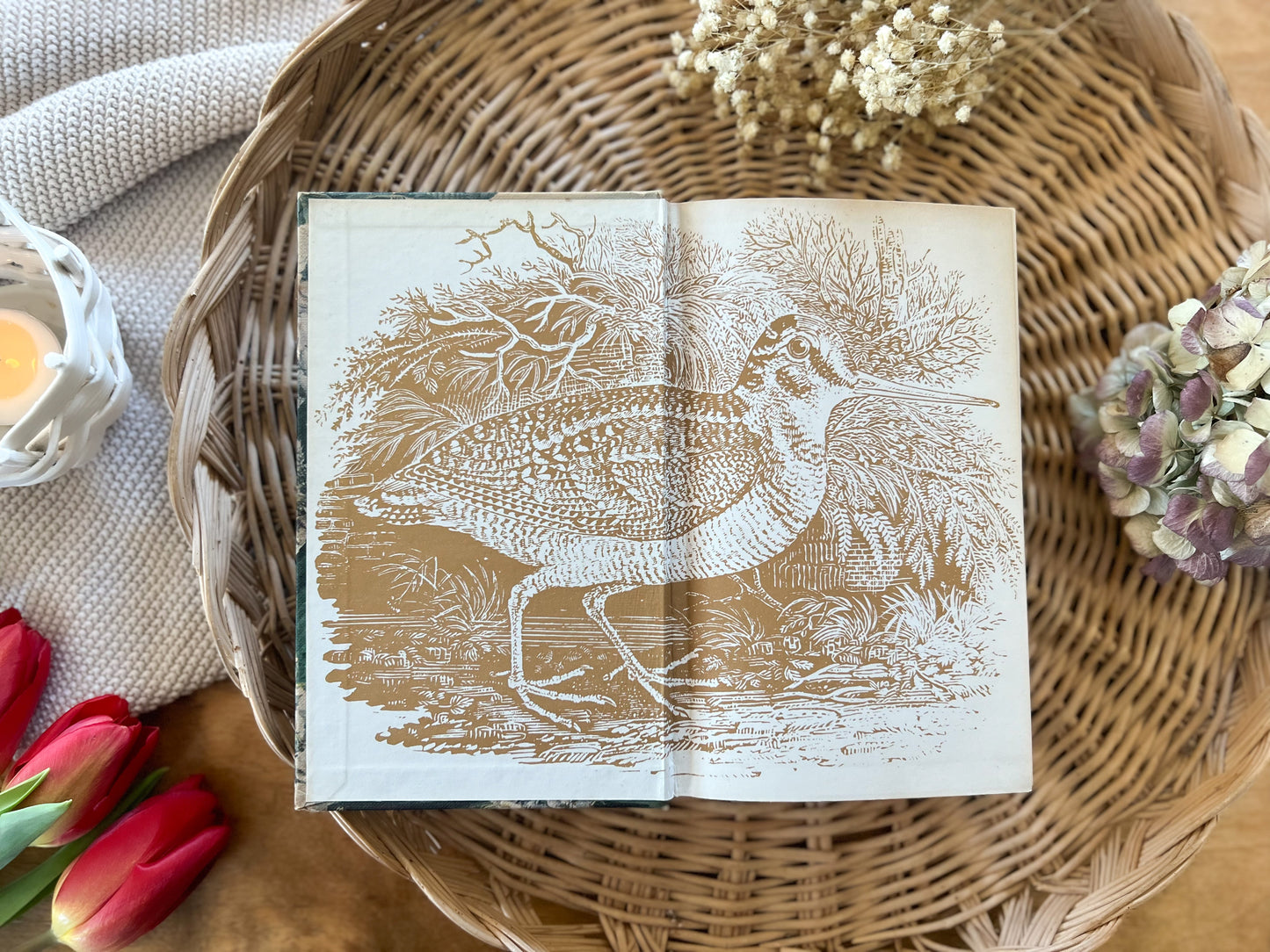 The Shell Country Book (1962) - Geoffrey Grigson (First Edition)