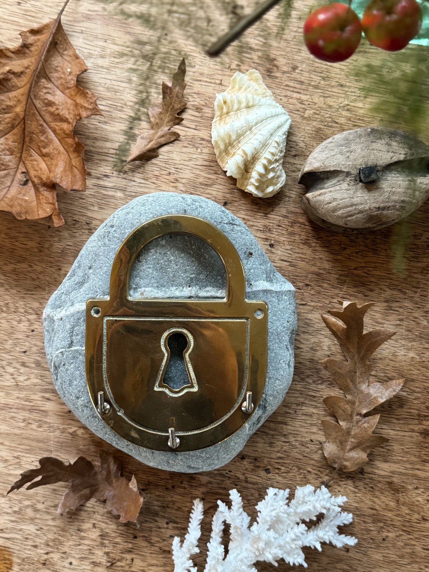 Vintage Brass Padlock Key Hook