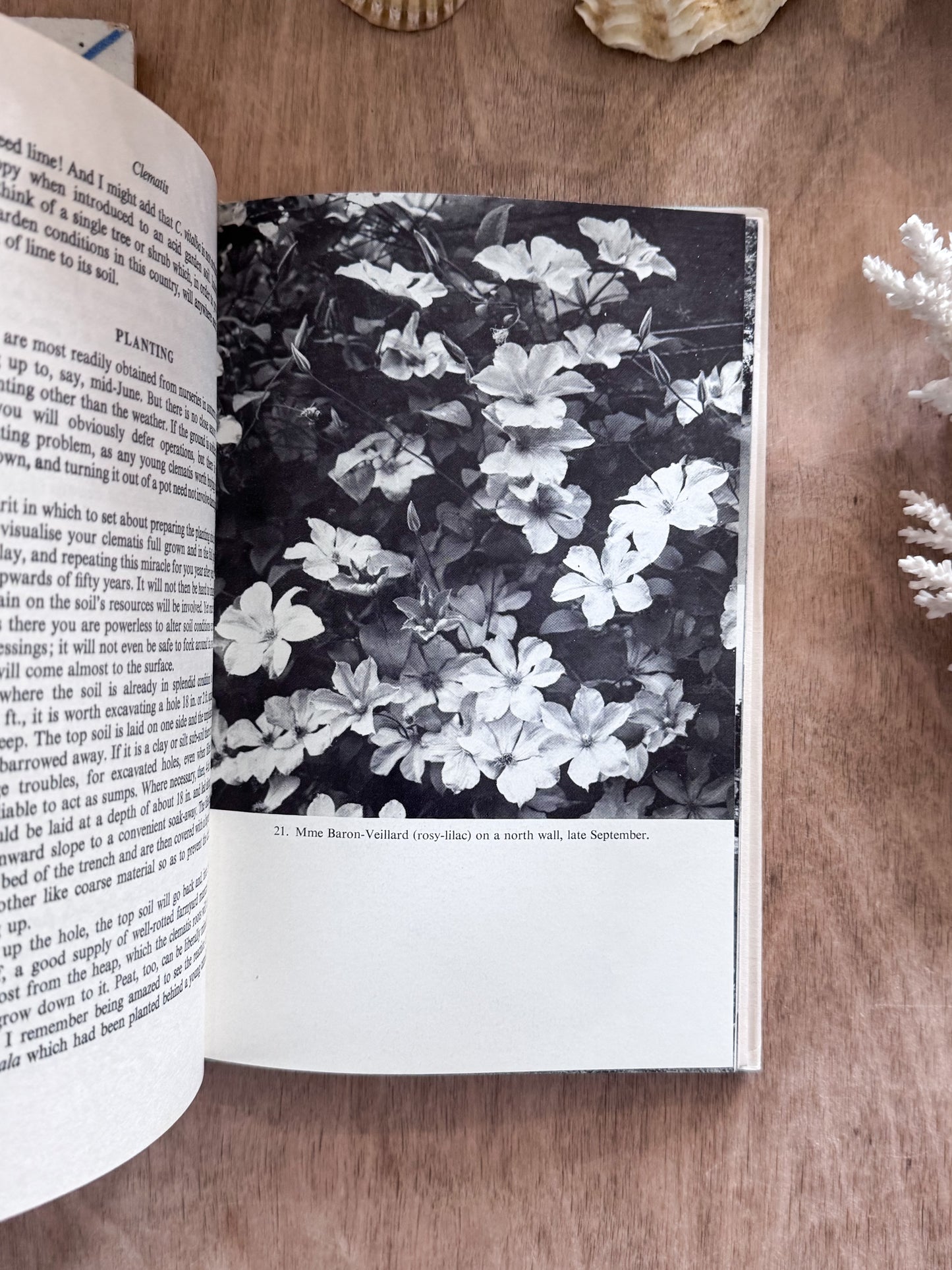 Clematis - Christopher Lloyd (1965, First Edition)