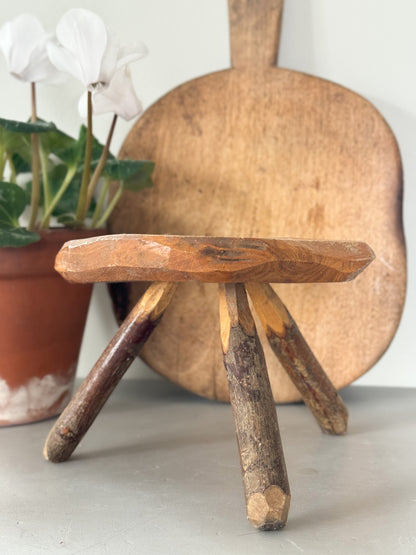 Small Handmade Treen Raw Wood Plant Stand • Stool