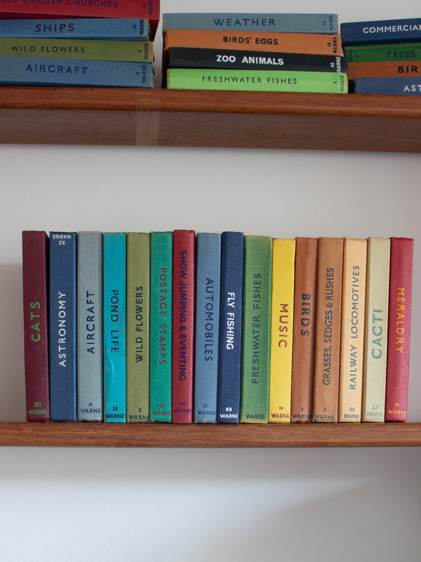 ‘Build Your Own’ Vintage Observer's Pocket Book Bundle