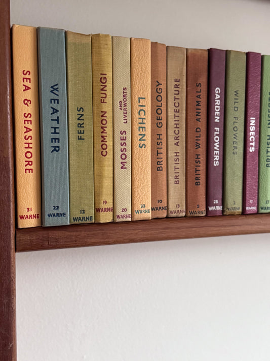 ‘Build Your Own’ Vintage Observer Pocket Book Bundle