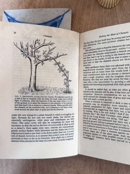 Clematis - Christopher Lloyd (1965, First Edition)
