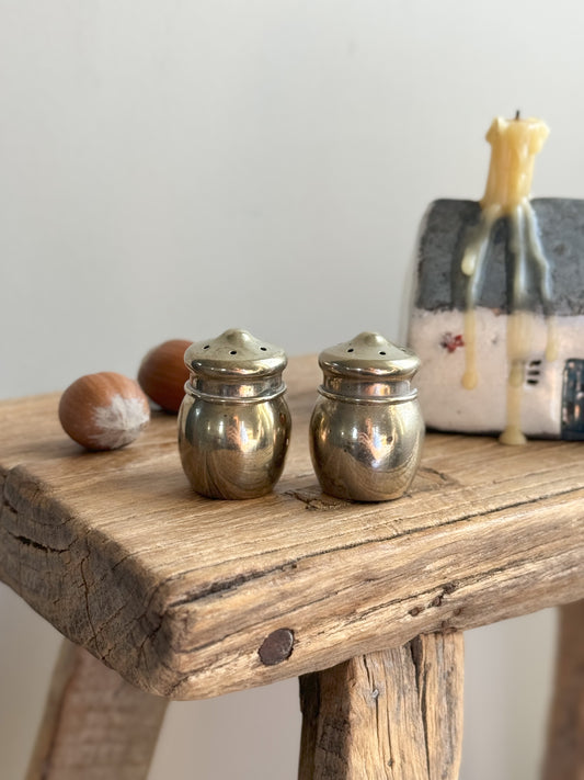 Miniature Silver Plated Acorn Shaped Salt & Pepper Shakers in Silver Plated Box