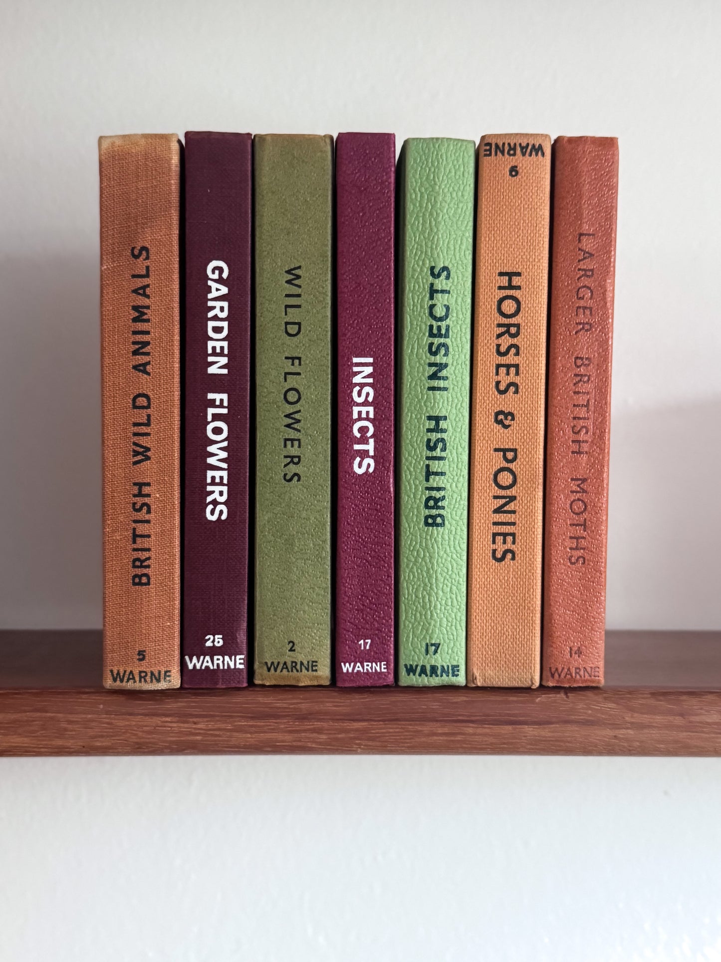 ‘Build Your Own’ Vintage Observer Pocket Book Bundle