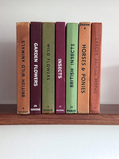 ‘Build Your Own’ Vintage Observer Pocket Book Bundle