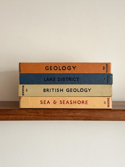 ‘Build Your Own’ Vintage Observer Pocket Book Bundle