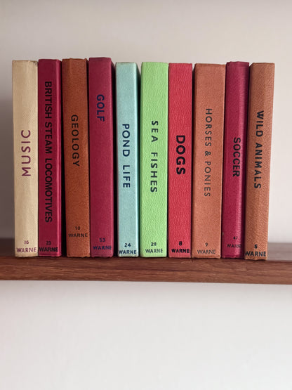 ‘Build Your Own’ Vintage Observer Pocket Book Bundle